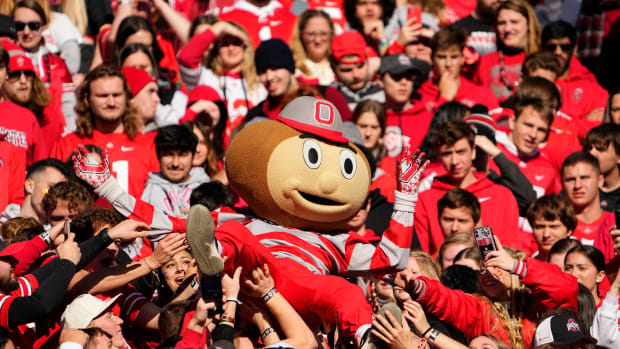 Brutus Buckeye